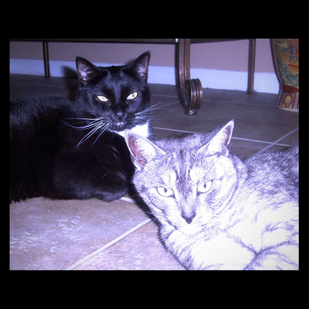 Meet your Posher and Buyer ,Simona